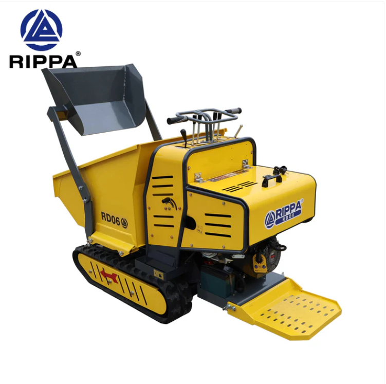 RIPPA RD06 4