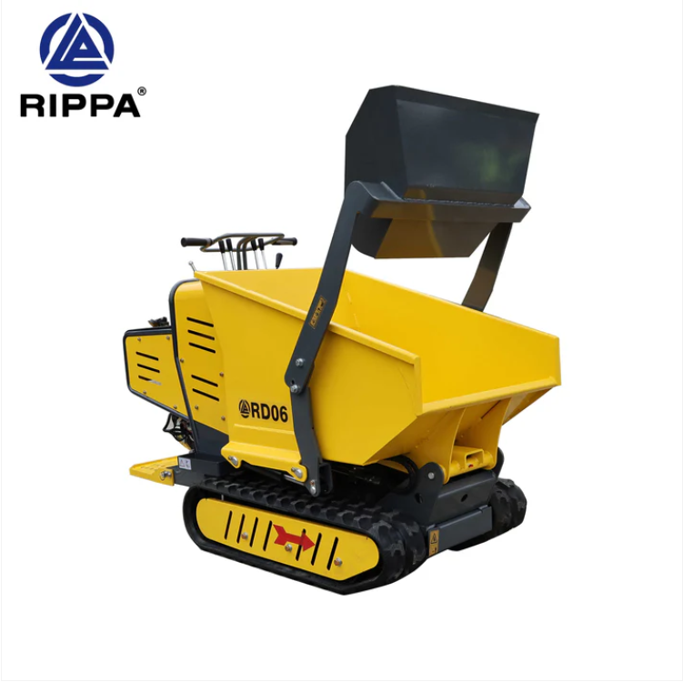 RIPPA RD06 6